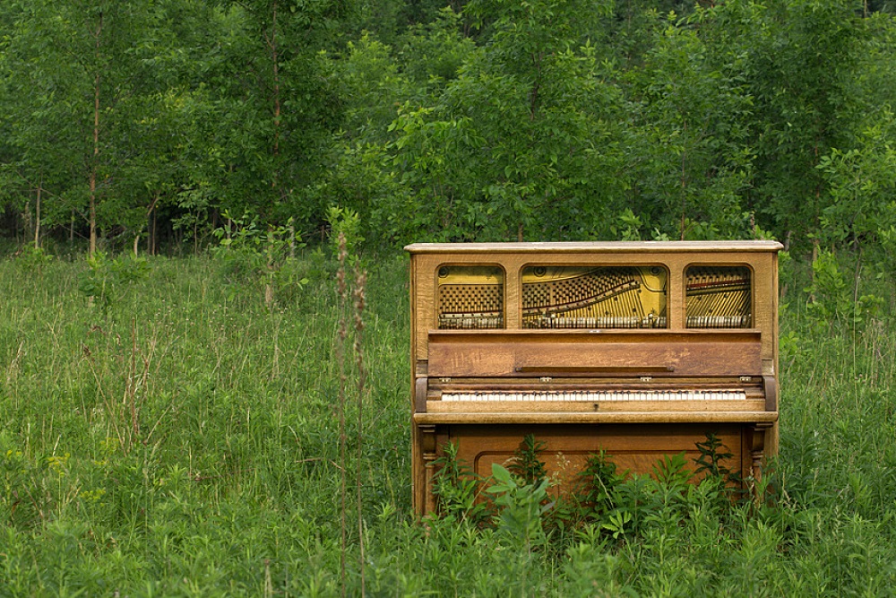 Piano abandonné au milieu des herbes hautes