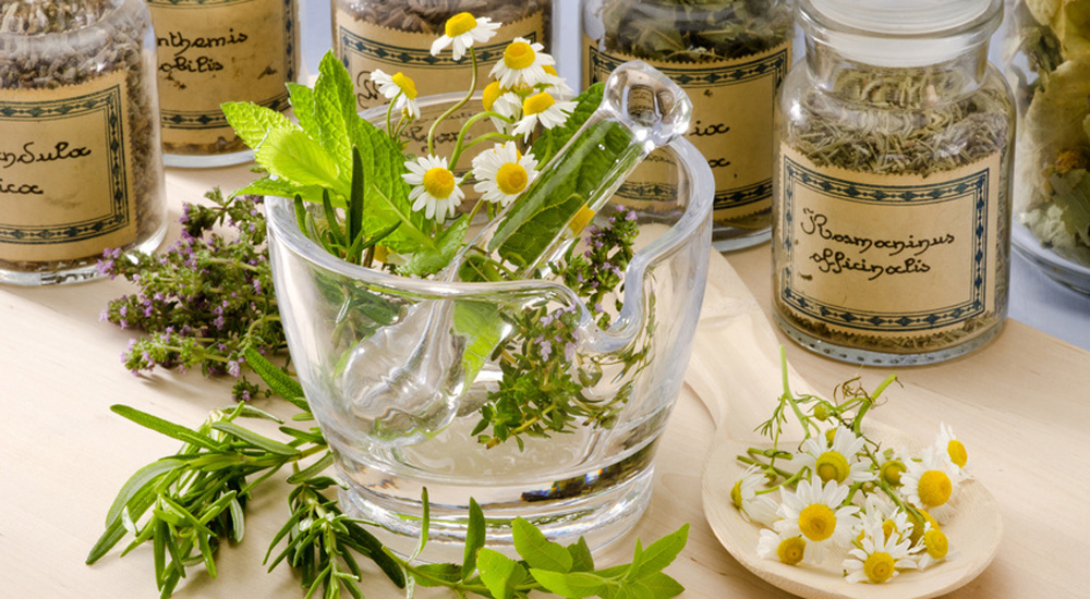 Coulisses d'un laboratoire en naturopathie 