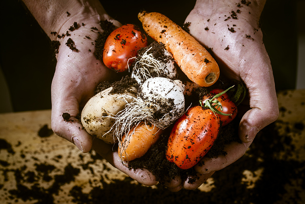 Légumes bio tenus dans les mains