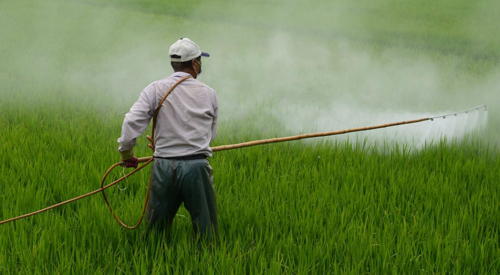 Un agriculteur arrose son champs de pesticides