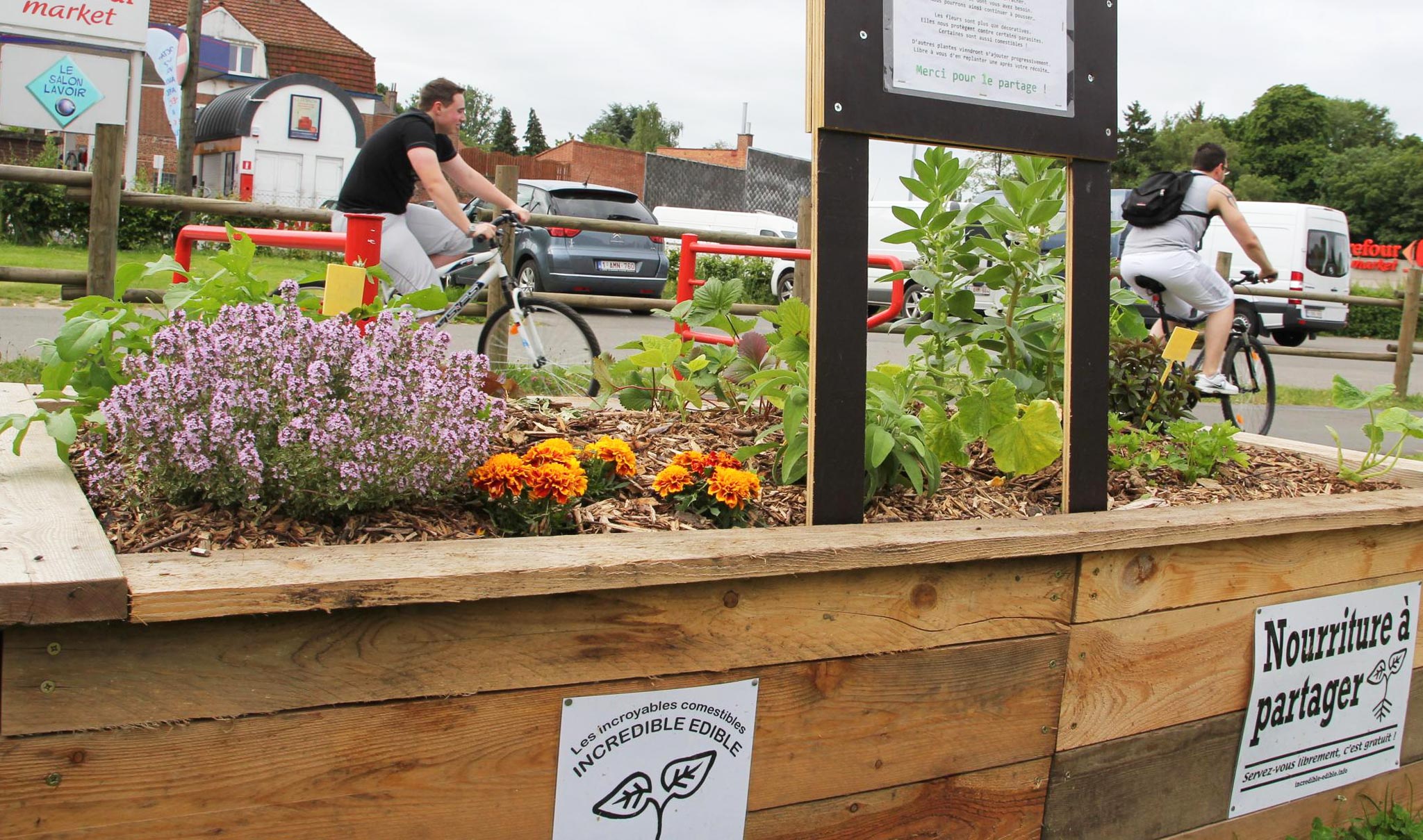 Suivez le Guide : Un petit jardin potager bio et gourmand à Londres