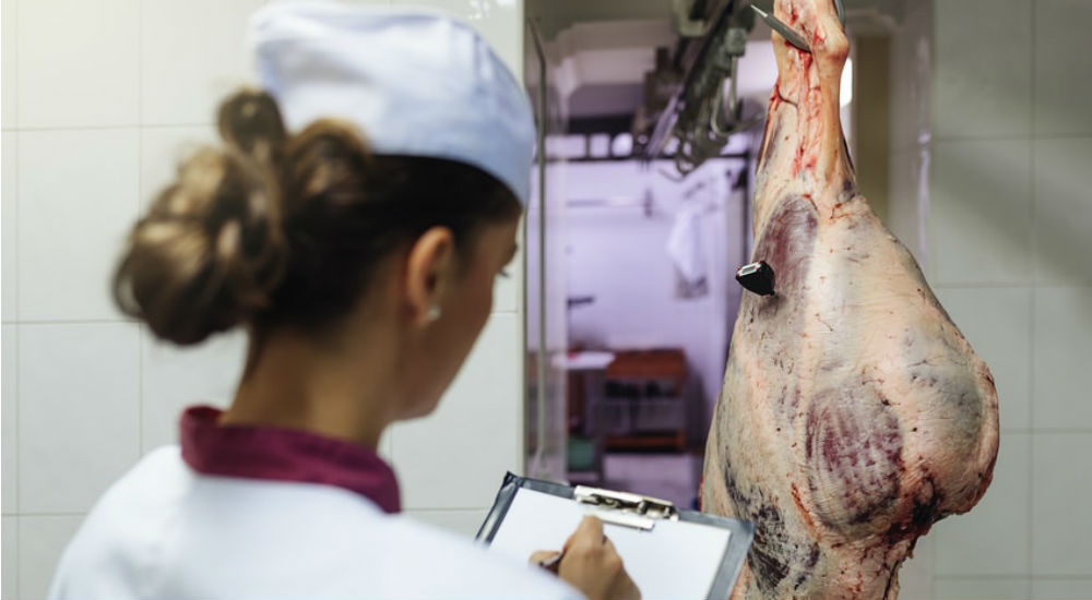 une femme effectue un contrôle dans les abattoirs