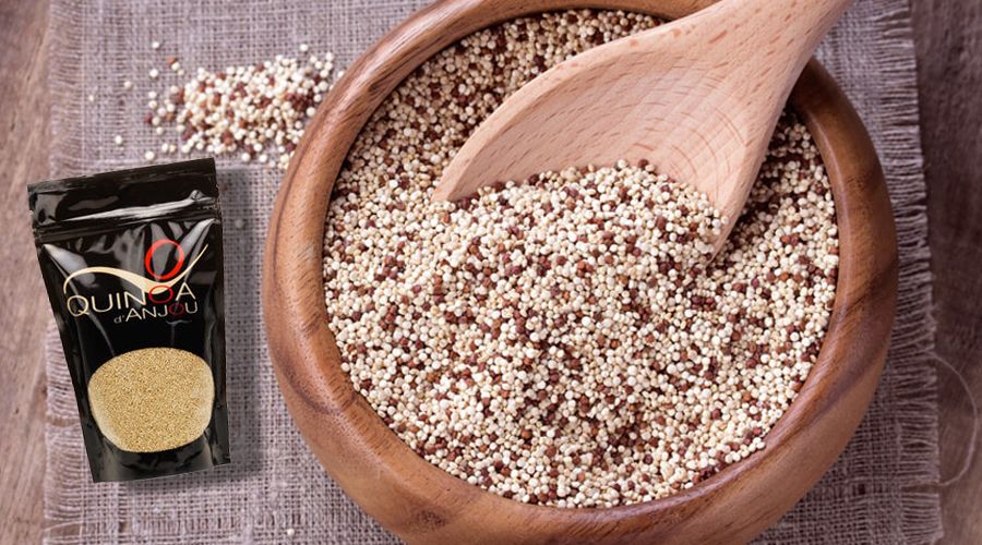 un agriculteur présente son quinoa français produit à Anjou