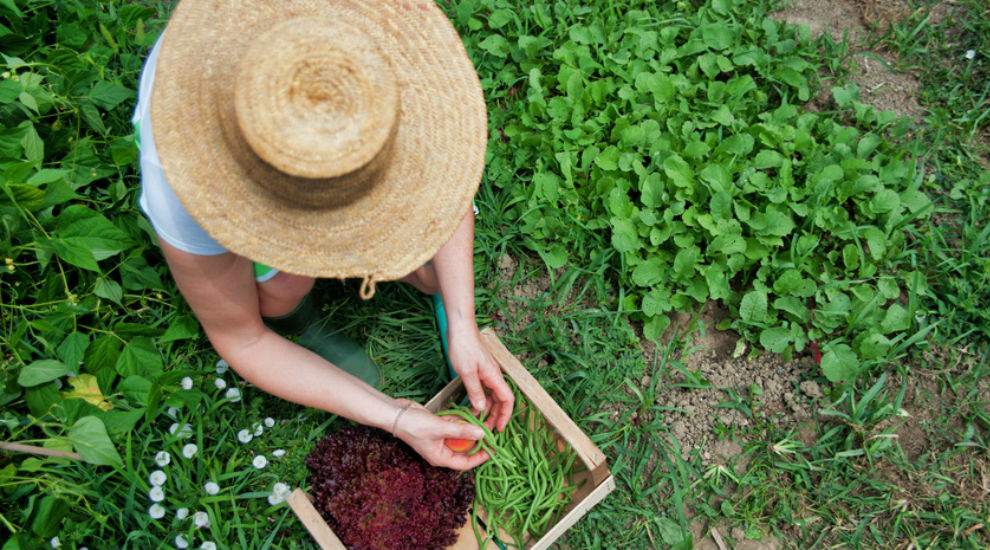 agriculture bio