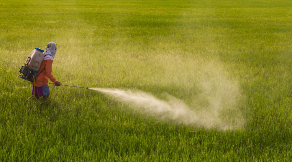 glyphosate France