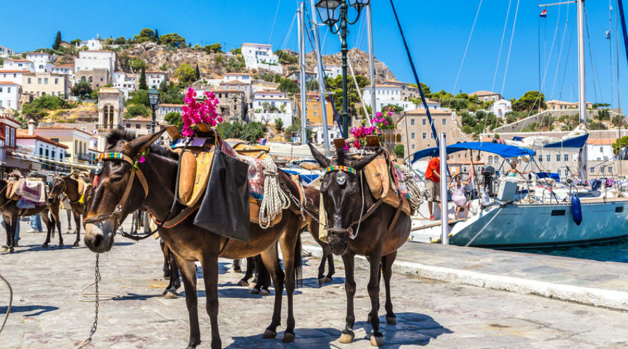 anes qui portent des charges lourdes a santorin en grece