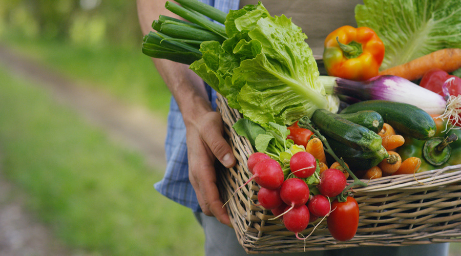 La hausse de CO2 dans l'atmosphère réduit les qualités nutritives des aliments