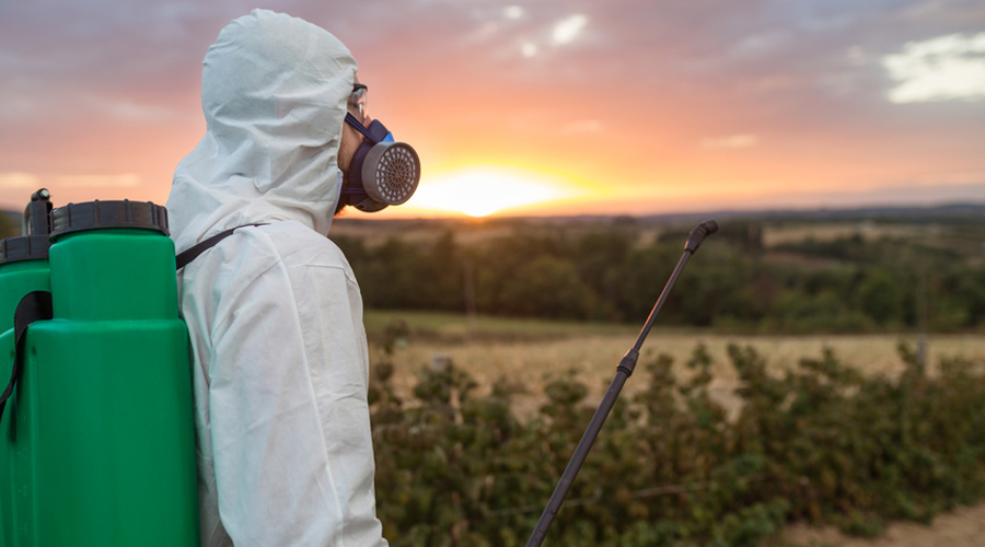 Dicamba Monsanto