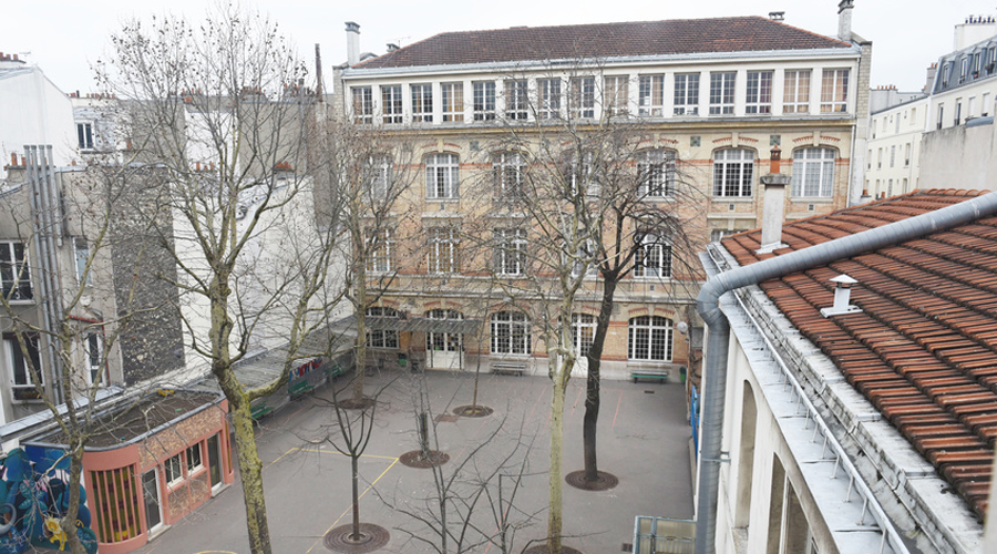 arbres dans une cour d'école