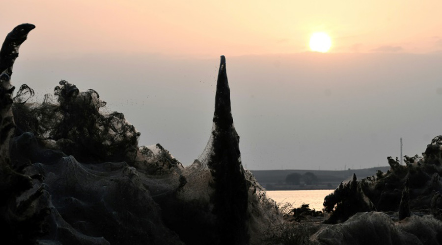 Grèce : un lac pris dans une toile d'araignée géante