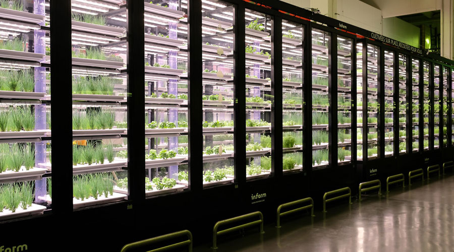 le plus grand potager en France