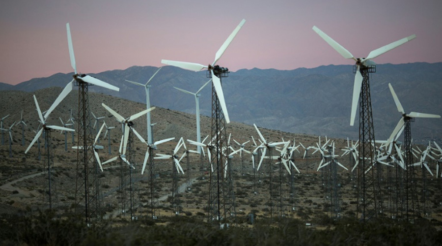 Préserver l'environnement : entre problèmes et solutions