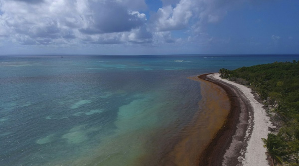 Guadeloupe