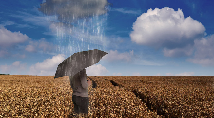 mauvais temps et récoltes