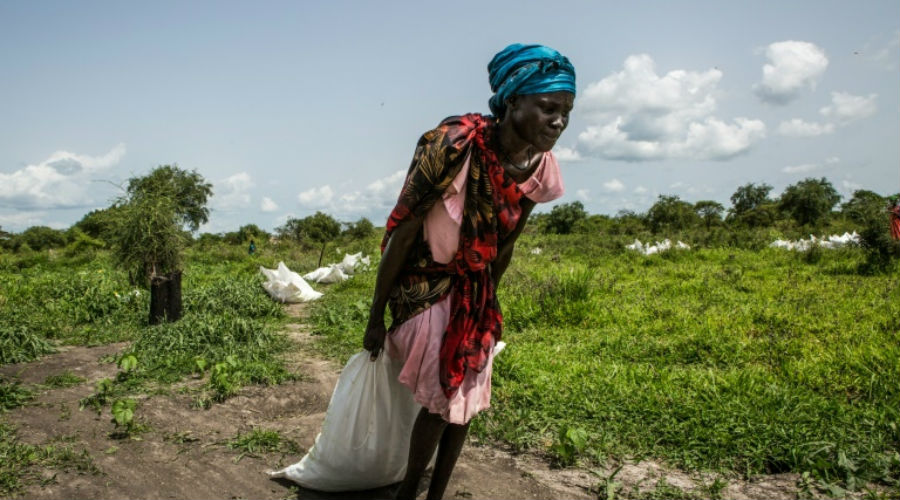 Chocs climatiques et conflits, premières causes des crises alimentaires en 2019