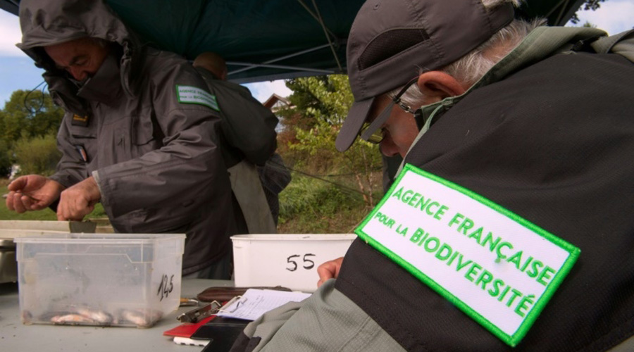 La fusion des offices de la chasse et de la biodiversité soumise au Sénat