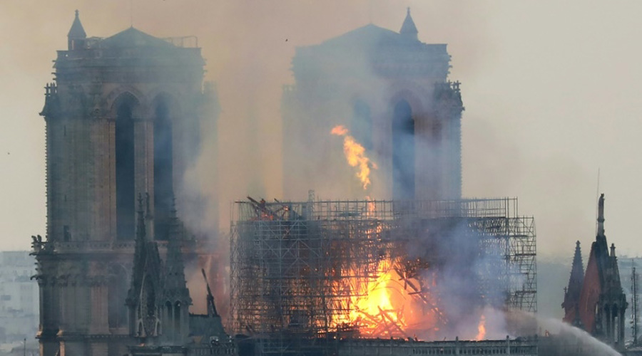 Des chênes pour Notre-Dame: la forêt française se mobilise