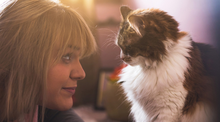 Une femme et son chat