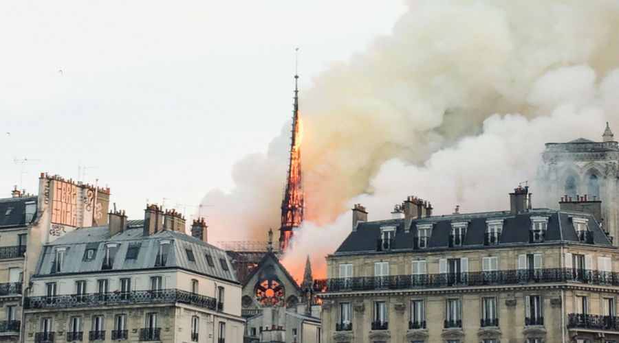 Les abeilles de Notre-Dame ont survécu à l'incendie