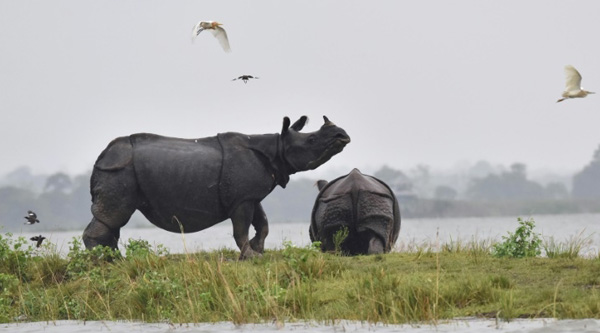 130 pays au chevet de la nature si vitale pour l'humanité