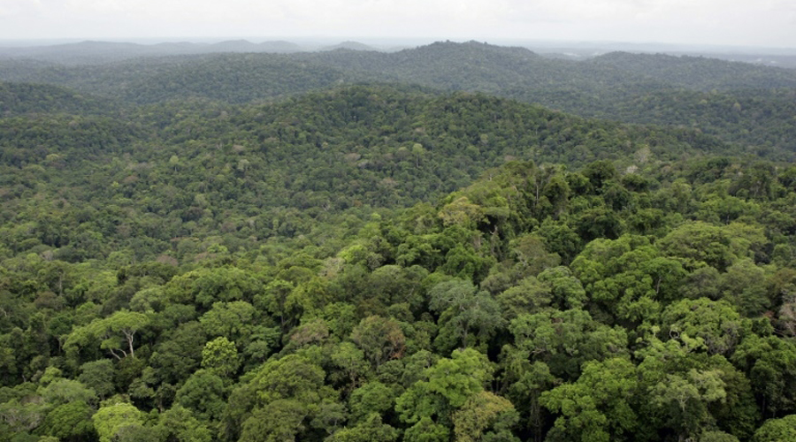 Montagne d'or Guyane