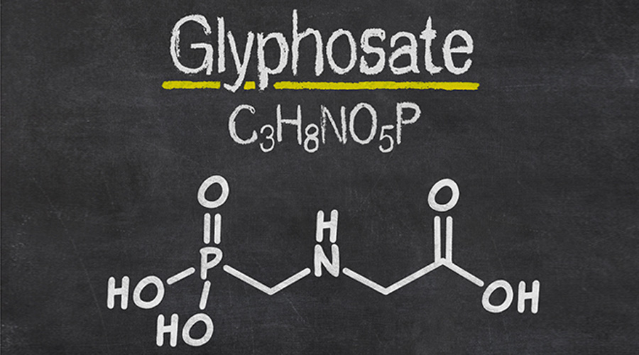 De nouvelles révélations sur Monsanto dans 