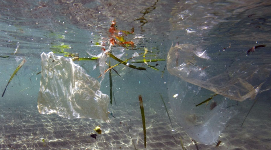 La France, plus gros producteur de déchets plastiques en Méditerranée