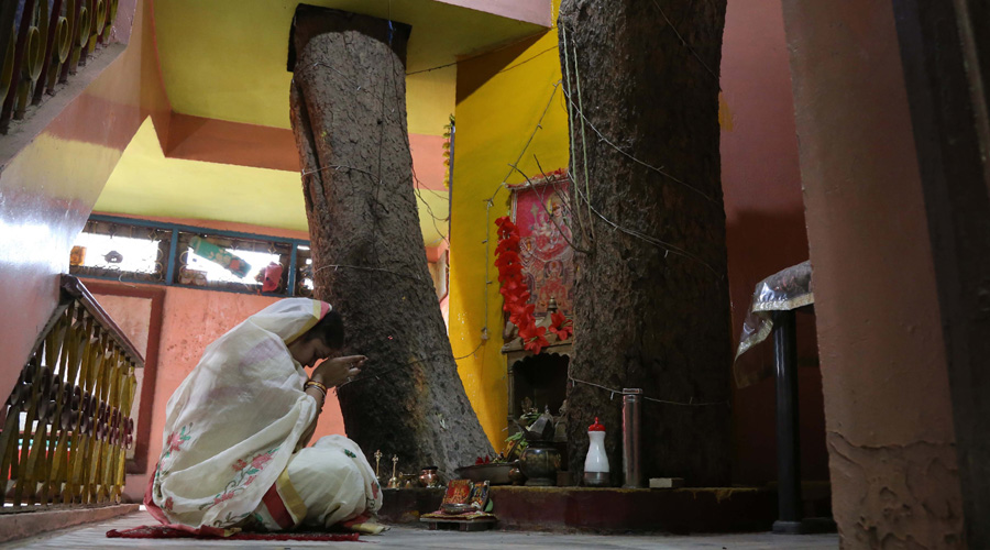 Inde : une maison familiale construite autour d’un arbre centenaire