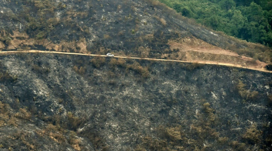 Feux de forêt en Colombie : du jamais vu depuis vingt ans !