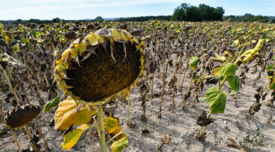 Climat : le scénario alarmant des scientifiques pour 2100