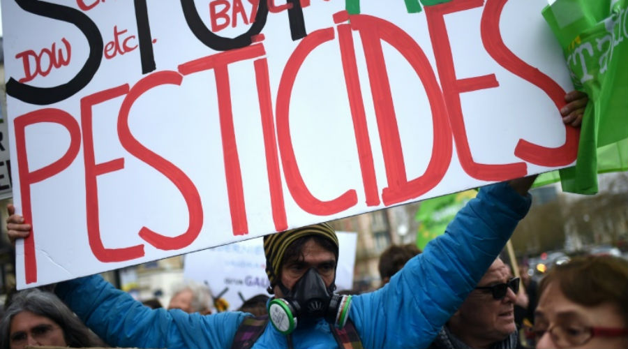 La Seine-Saint-Denis prend un arrêté anti-pesticides