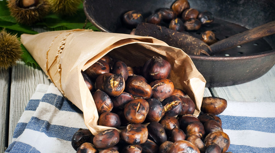 Cueillettes d'automne et intoxication : gare à la confusion entre châtaignes et marrons