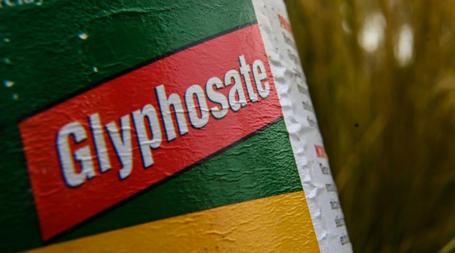 glyphosate