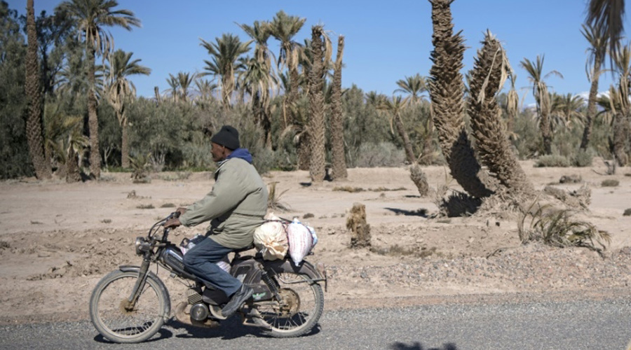 oasis Maroc