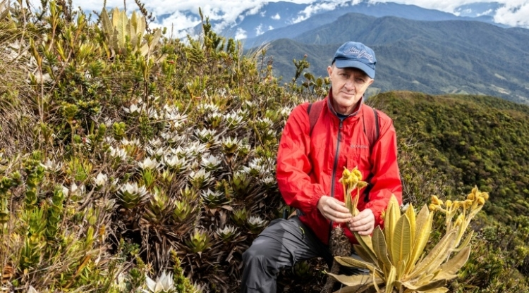 en Colombie d'une plante essentielle pour la préservation de l'eau