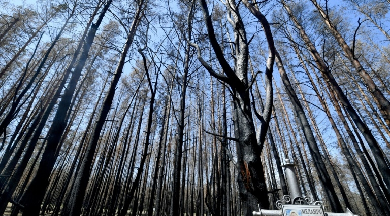 Incendies à Tchernobyl